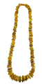 IMG_20210302_121447-removebg-preview.png
