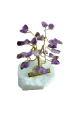 1629970779721.png