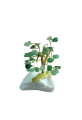 1629972163379.png