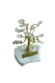 1629972877721 (1).png
