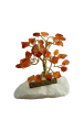 1630059795634.png