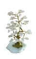 1630136485753 (1).png
