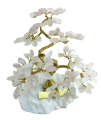 1630323960222 (1).png