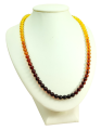 1630657557364.png