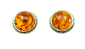 1631175486577.png