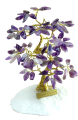 1630309954792.png