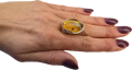Clipped_image_20250212_085925.png