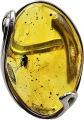 Clipped_image_20250211_102624.png