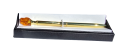 1000013329-removebg-preview.png