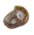IMG_20200427_143108-removebg-preview.png