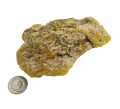 IMG_20200429_150902-removebg-preview.png