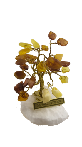 IMG_20200511_095310-removebg-preview (1).png