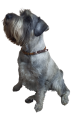 IMG_20200610_102751-removebg.png