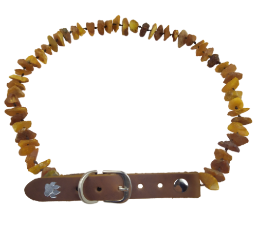 IMG_20200610_111444-removebg-preview (1).png