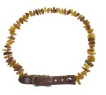 Obroża Premium z bursztynem dla bardzo dużego psa